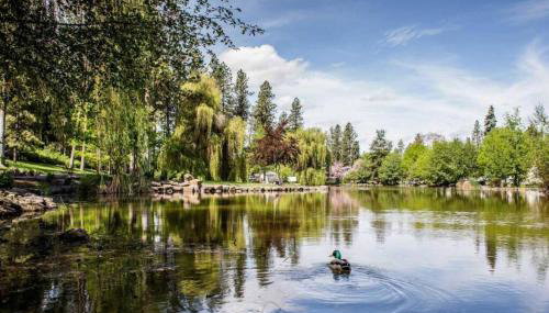 Stunning Craftsman Home in Manito FREE parking - Foto 5