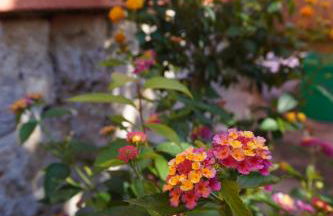 Ferienwohnung Ufer - Urlaub in der Sächsischen Schweiz - Foto 46