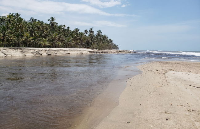 Beautiful Vacation Home Indigo Palomino - Photo 32