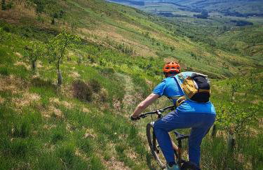 Stable Cottage - Foto 25