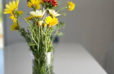 Holiday house Mila - Foto 35