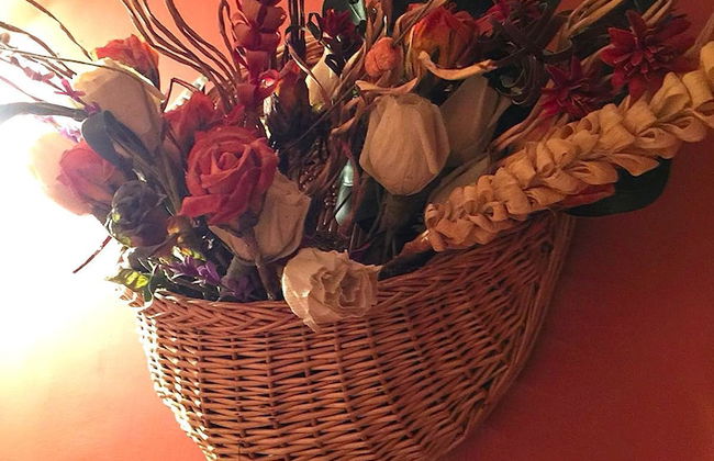 B&B Maremma Nel Tufo - Foto 9