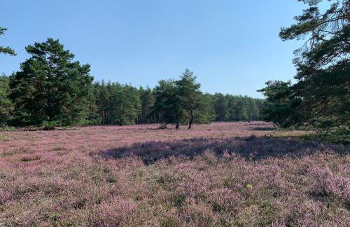 Wassermühle Habighorst - Foto 35