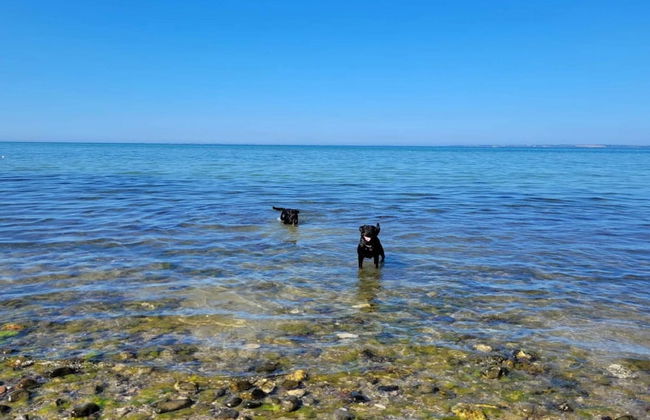 5 Star Holiday Home in Asnaes - Foto 39