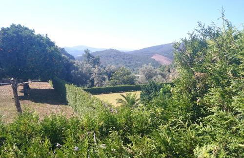 Solar Guesthouse Olival da Vinha - Photo 41