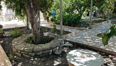 Tulip House - Foto 5, Garden view