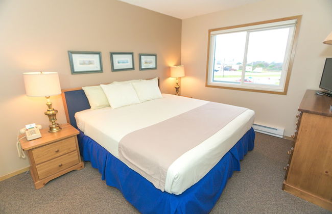 The Grey Gull - Foto 19