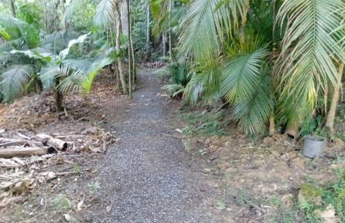 MICRO CASA DE SITIO DO TIO Tonho - Foto 11