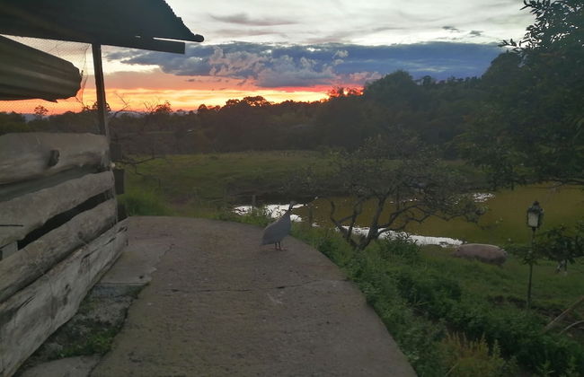 Rancho Ventura - Foto 61