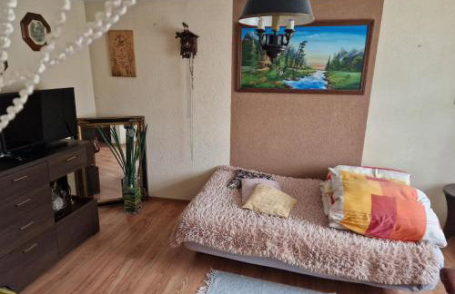 Roztoczańska przystań - Foto 5