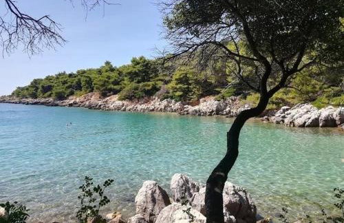 Apartments Nada - Foto 4