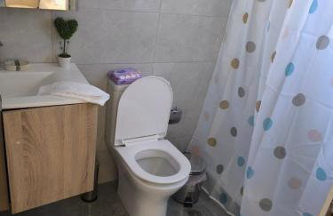 Araucaria studio Manis - Foto 13