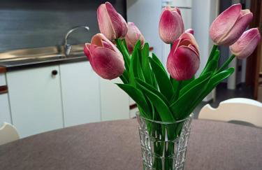 CASA DIDYMA - Foto 66