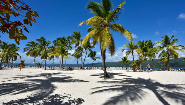 Los Haitises National Park and Cayo Levantado Trip - Photo 4