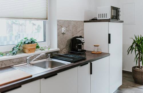 APARTAMENTY LAS Zator - Photo 42