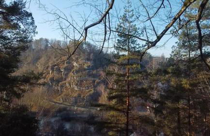 Landliebe Ferienwohnung - Photo 60