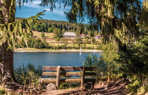 cozy Black Forest Tiny House close to lake - Foto 11