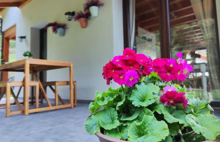 Reguero Gato Turismo Rural - Foto 44