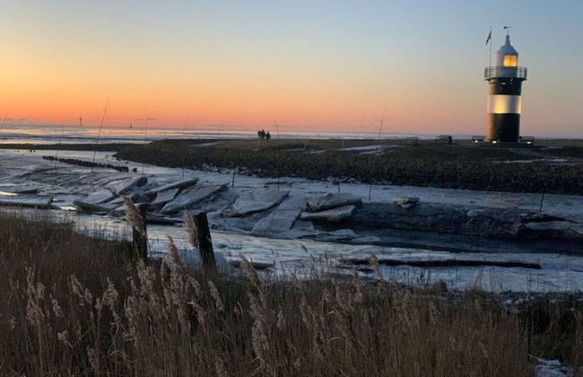 Ambiance Modern Retreat - Photo 17