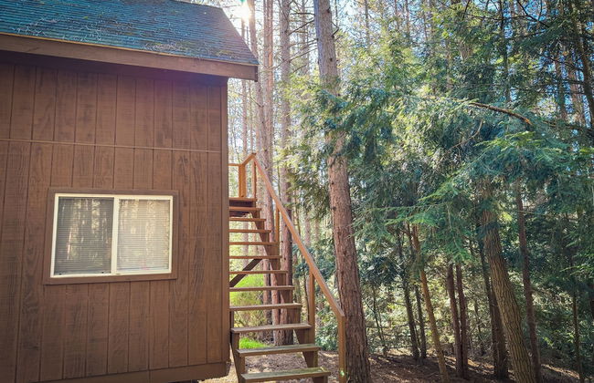 Boyer's Pond Campground - Foto 23