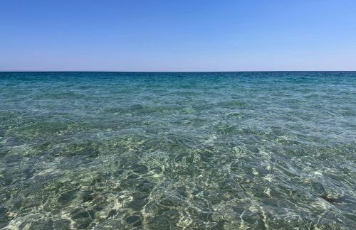 Villa con piscina e giardino a due passi dal mare. - Foto 29