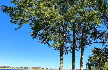 Ferienhaus Lines to Huus Strandnah nahe Heiligenhafen & Großenbrode - Foto 31