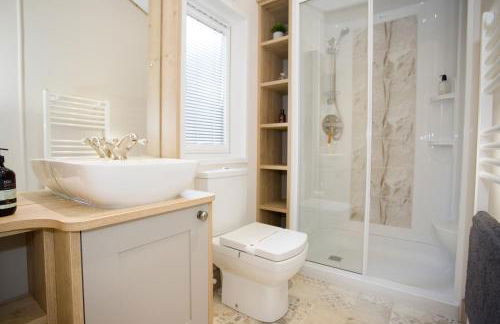 6 Berth Luxury Lodge in Christchurch, Dorset - Photo 48