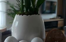 Ferienhaus Landbrücke - Foto 32