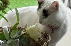 ElleCi Casa Vacanze - Photo 21