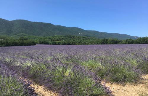 Domaine de la Bastidonne - Foto 29