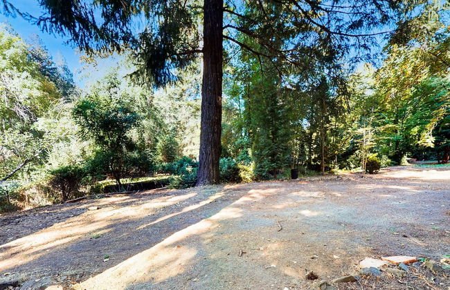 Rouge Cobb Mountain Cabins - Photo 36