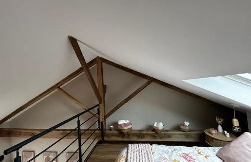 L'arbre de soie Futuroscope Albizia - Foto 6