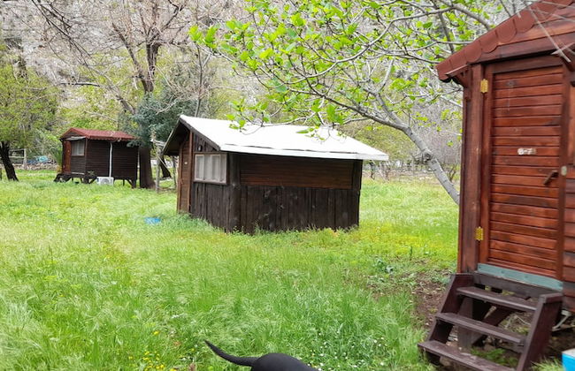 Kelebekler Vadisi Butterfly Valley - Foto 26