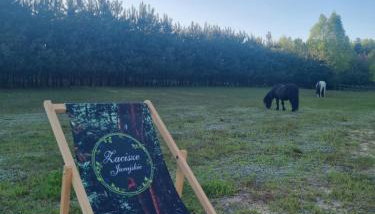 Zacisze Jurajskie - Foto 4