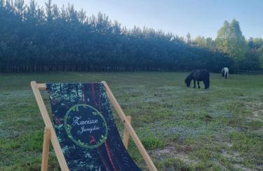 Zacisze Jurajskie - Foto 4