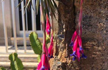 Residenz TraumBlick - Foto 29