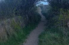 La Casa Di Benedetta - Foto 24