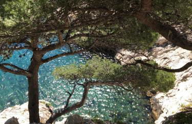 Typique cabanon familial - Foto 15