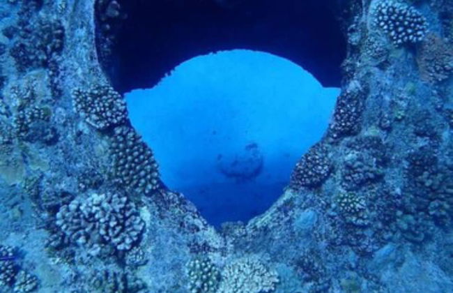 Thalassa Beach and Pool Villa - Foto 26