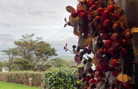 Luxury Cornish House next to Cliffs & Surf Beaches - Photo 76