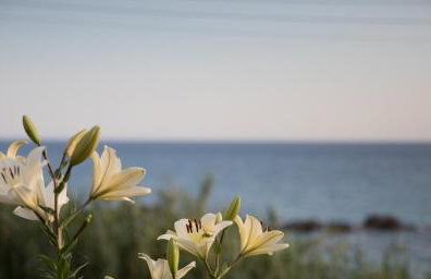 VILLA VRACHOS Preveza - Foto 63