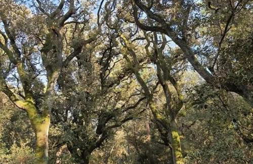 L'Appartement du Veillon - Foto 20