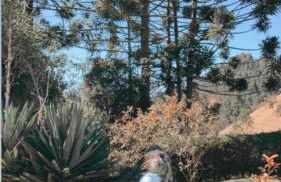 Recanto da Paz - Vale da Prata - Foto 2