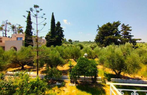 Blue Studios by Irene - Photo 50