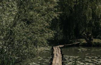 Kuća za odmor Bakina Divljaka - Foto 16