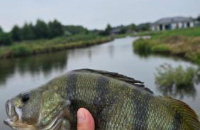 Willa Skrzatusz - Foto 65