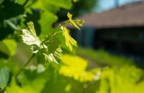 Relais La Dolce Vite - Foto 150