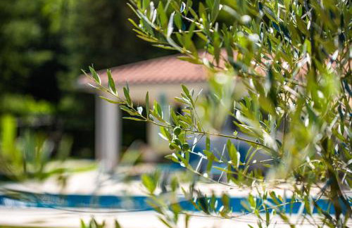 Villa Stepančić - large garden and heated pool - Foto 65