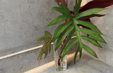 Quinta da Bocaina - Foto 33