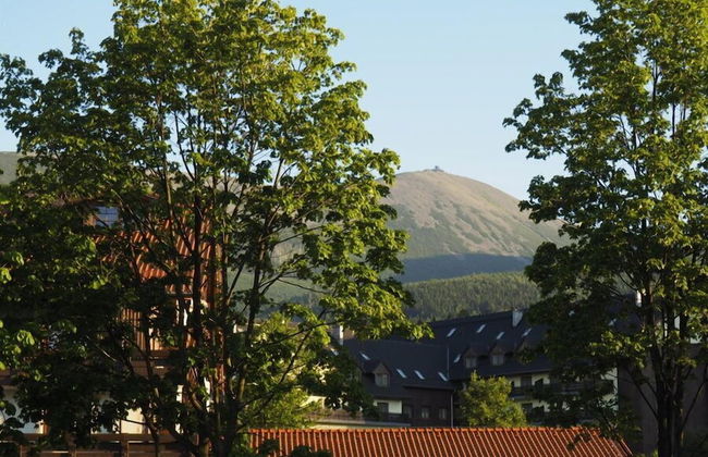 Apartament EverySky Ogrodnicza 7 - Photo 43